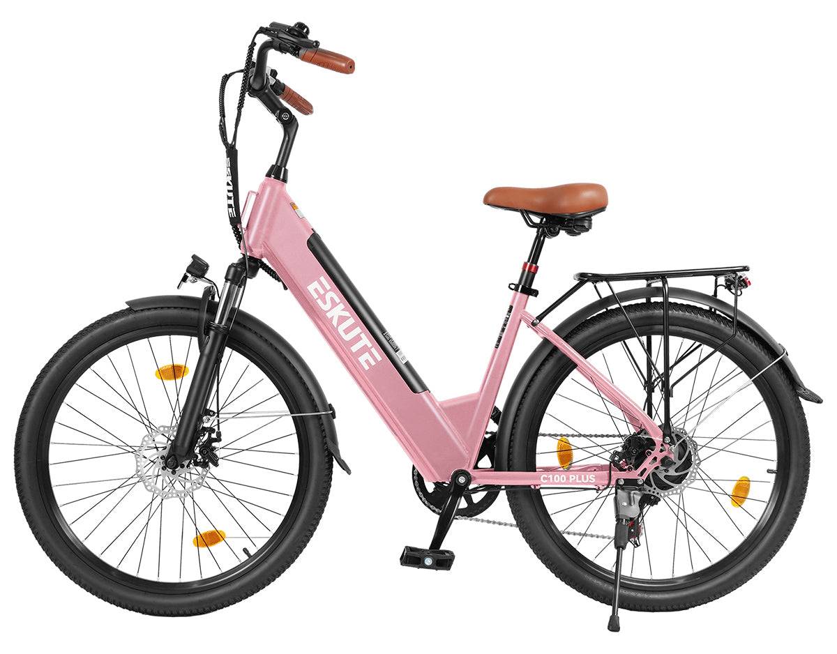 Eskute C100 Plus City E-Bike