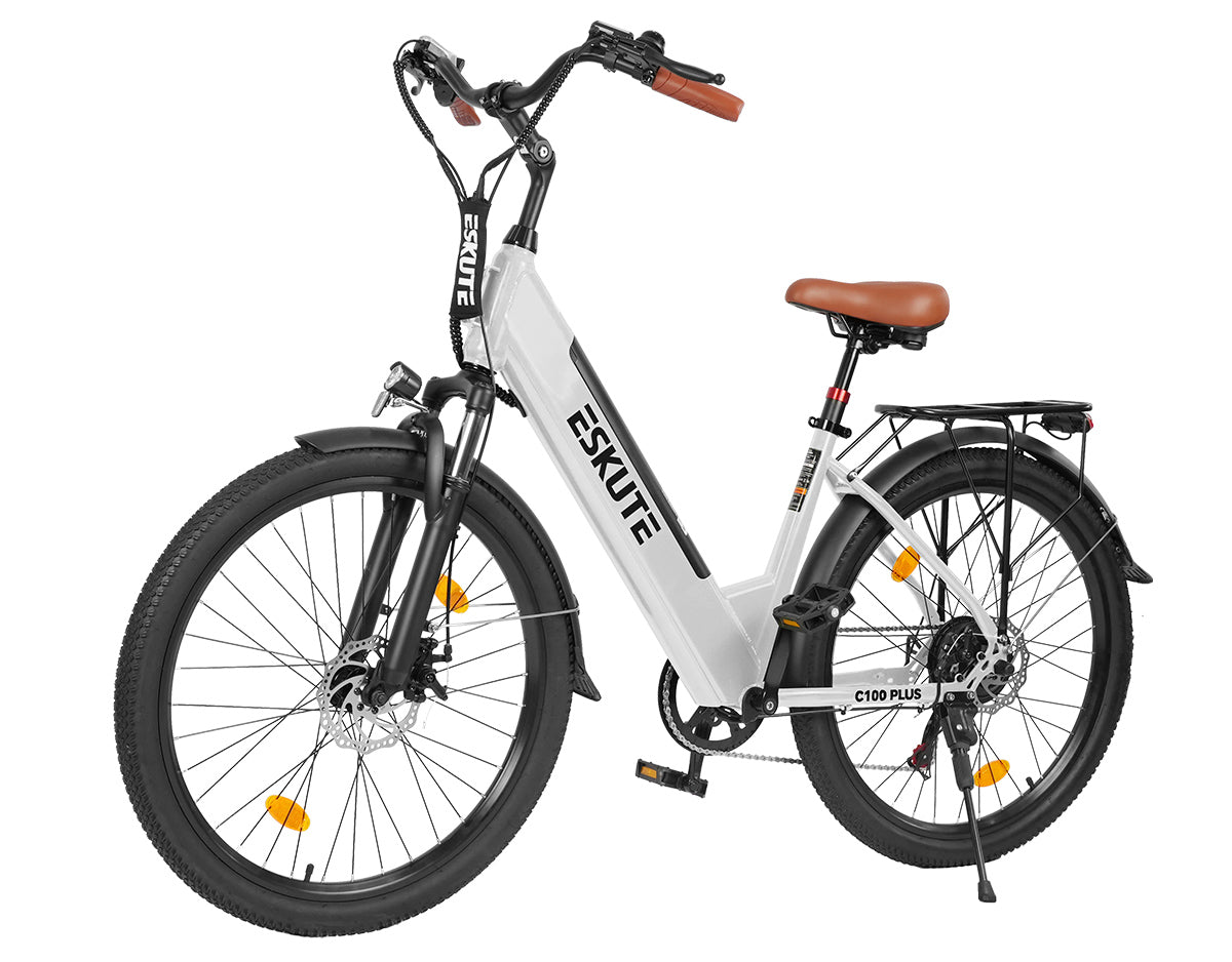 Eskute C100 Plus City E-Bike