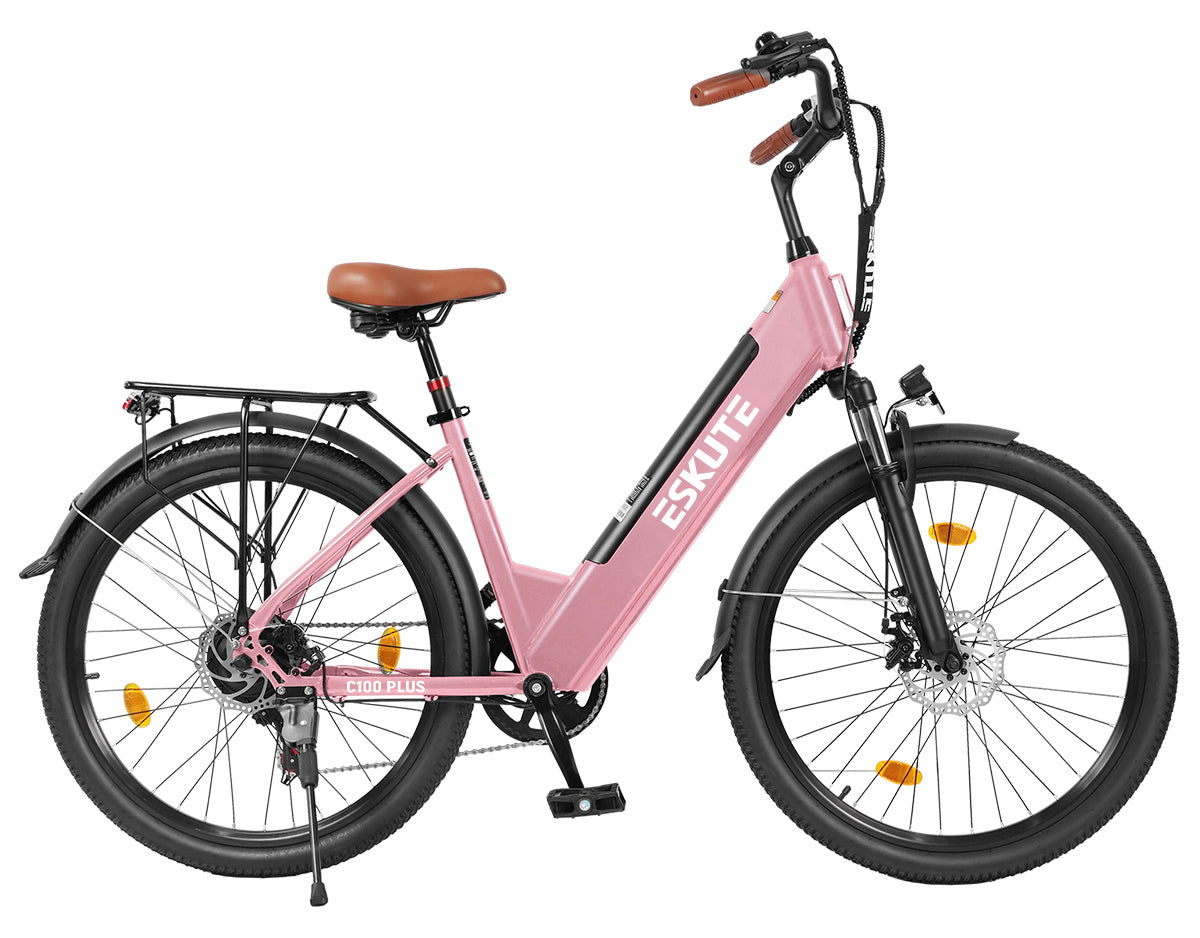 Eskute C100 Plus City E-Bike
