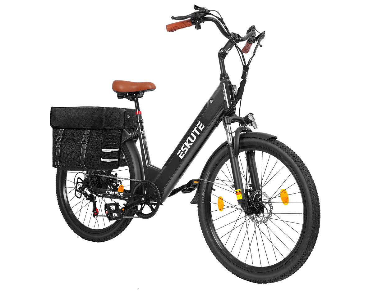Eskute C100 Plus City E-Bike