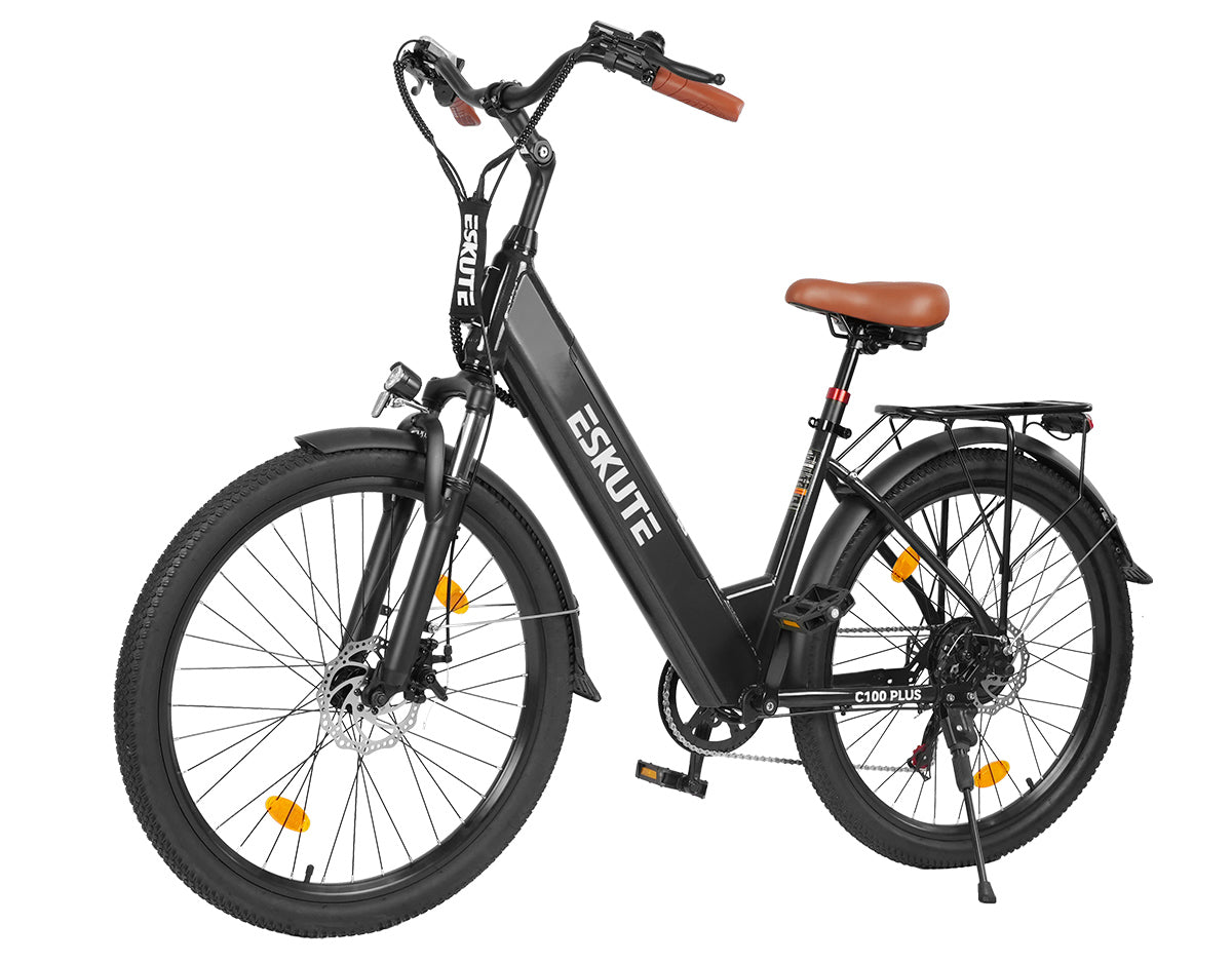 Eskute C100 Plus City E-Bike