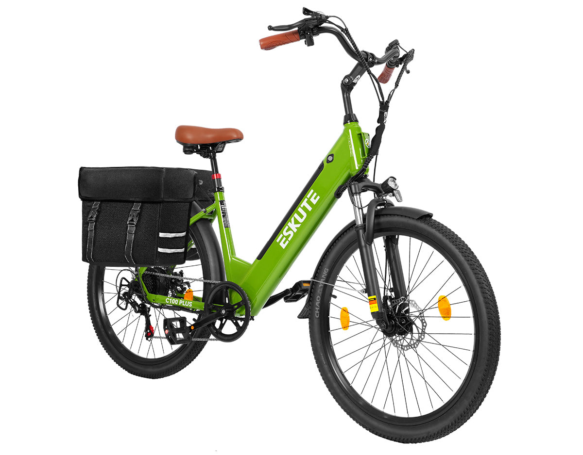 Eskute C100 Plus City E-Bike