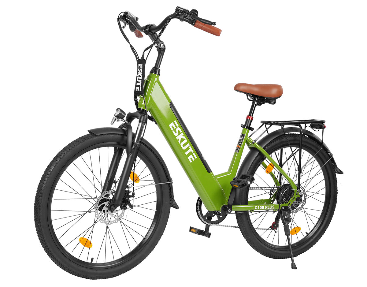 Eskute C100 Plus City E-Bike