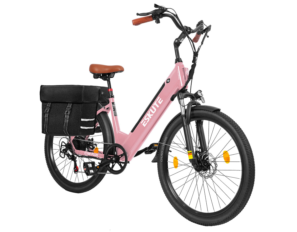 Eskute C100 Plus City E-Bike