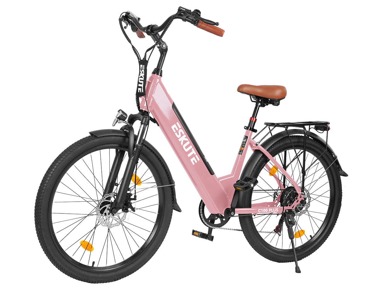 Eskute C100 Plus City E-Bike