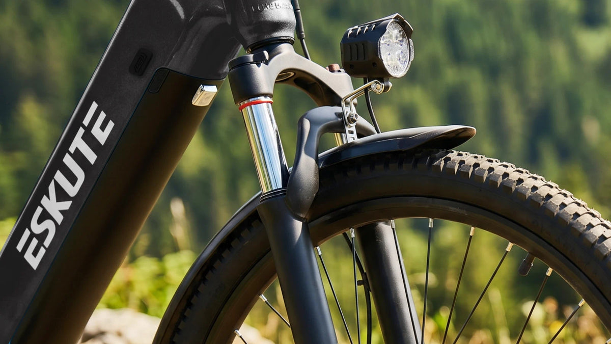 C202 City-E-Bike mit Federgabel für komfortables Fahren auf unebenem Gelände im Park