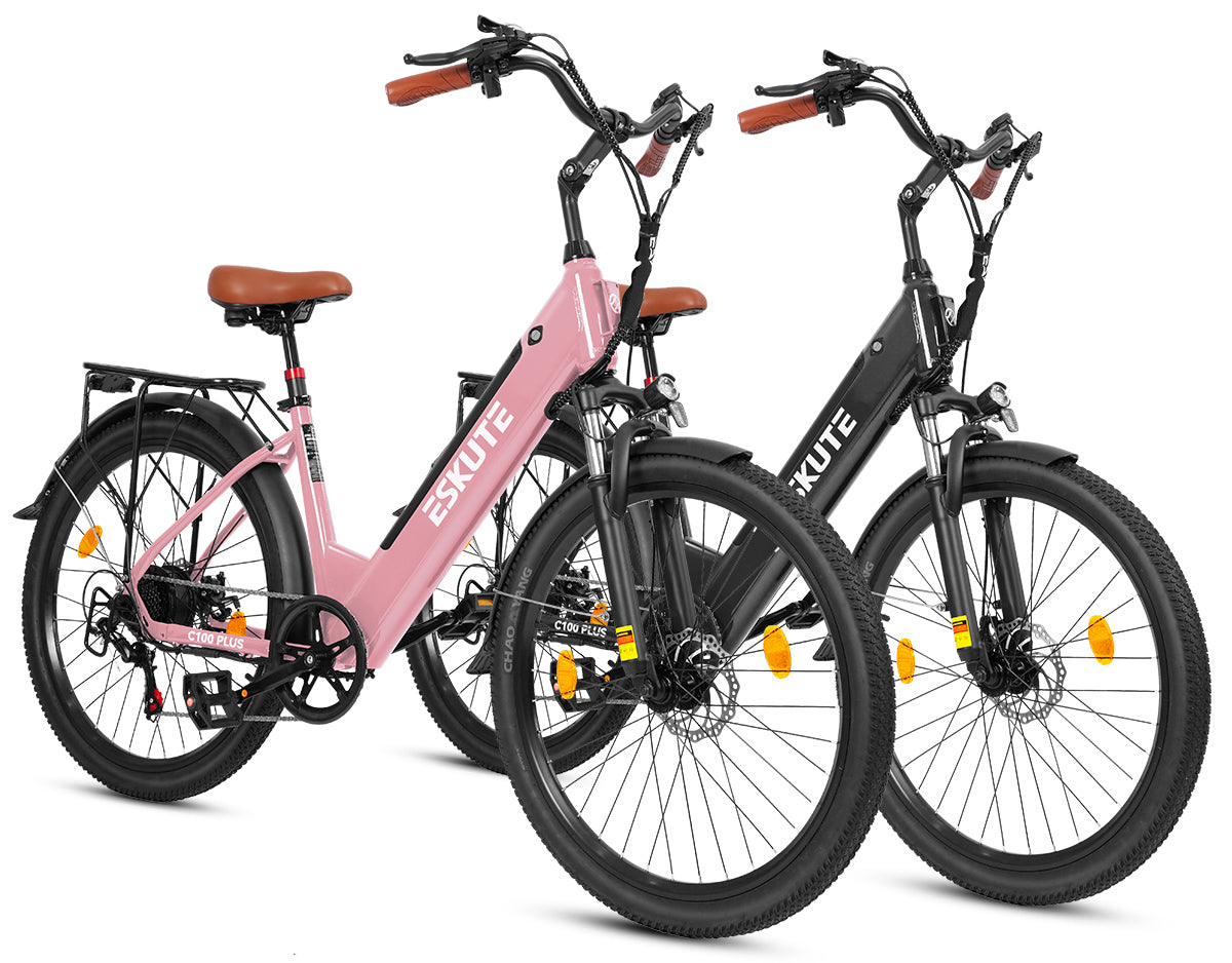 Eskute C100 Puls City E-Bike*2