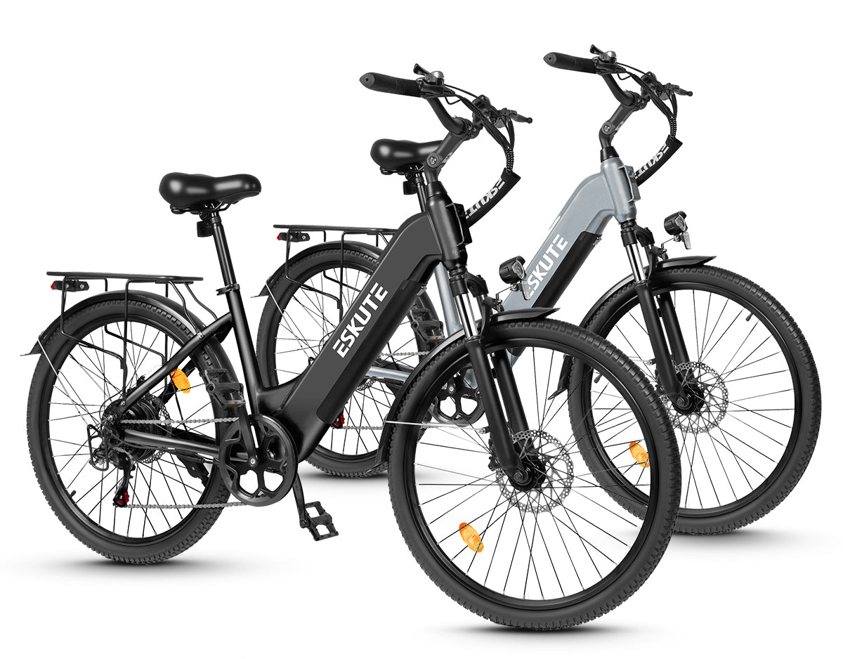 Eskute C202 City-E-Bike*2