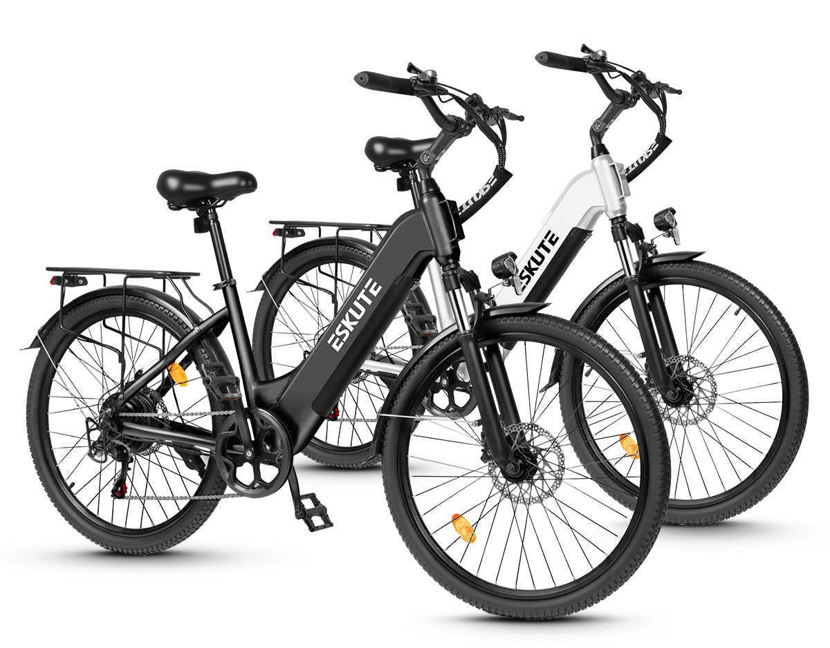 Eskute C202 City-E-Bike*2