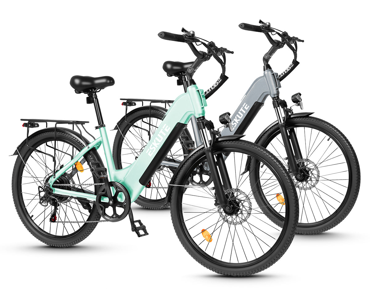 Eskute C202 City-E-Bike*2