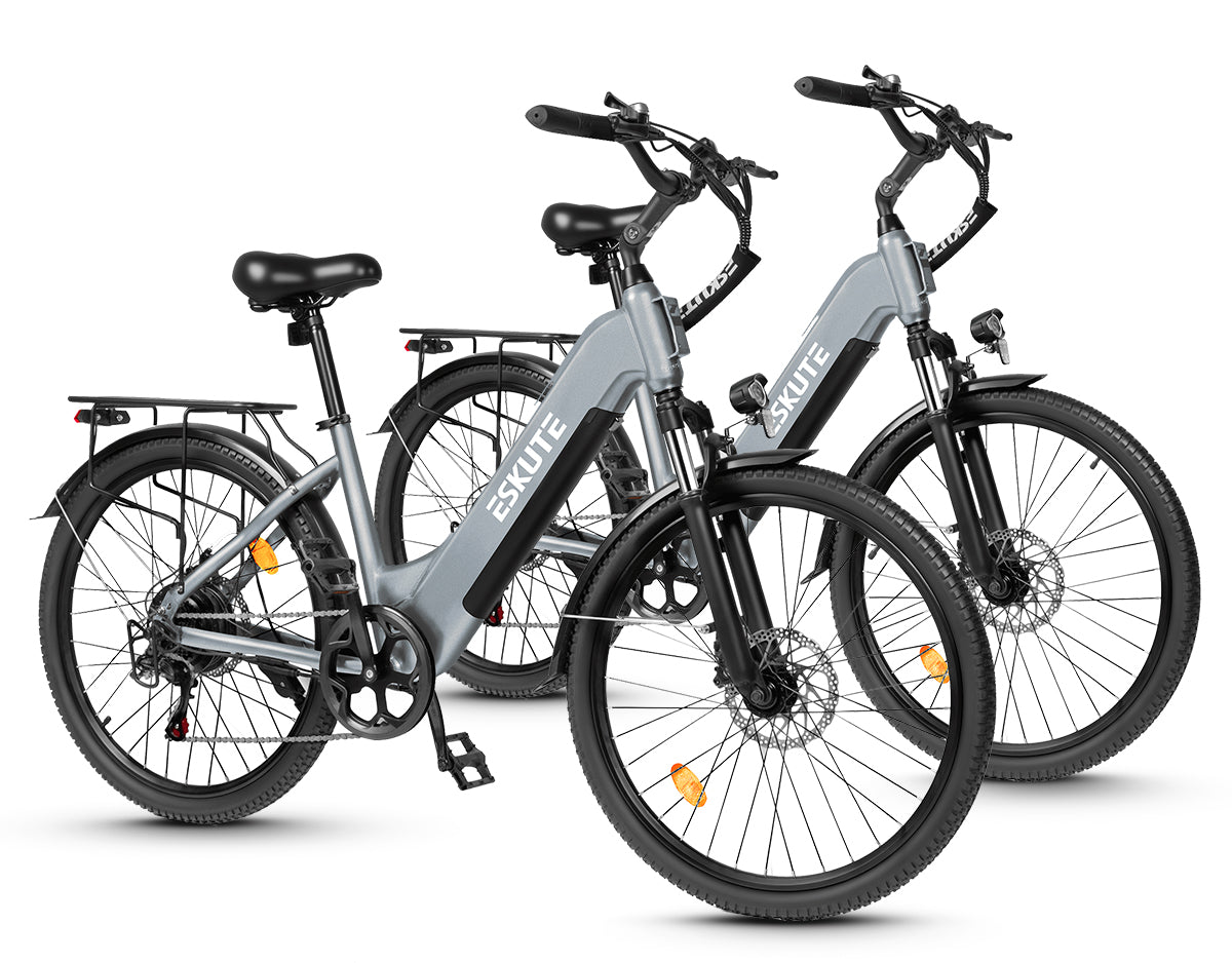 Eskute C202 City-E-Bike*2