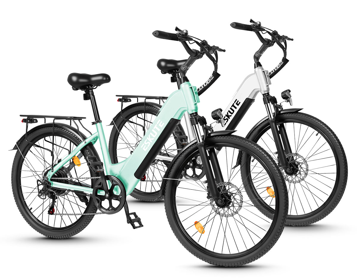 Eskute C202 City-E-Bike*2