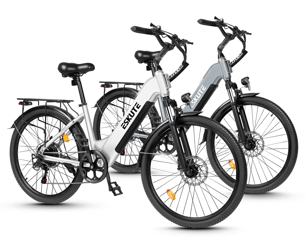 Eskute C202 City-E-Bike*2