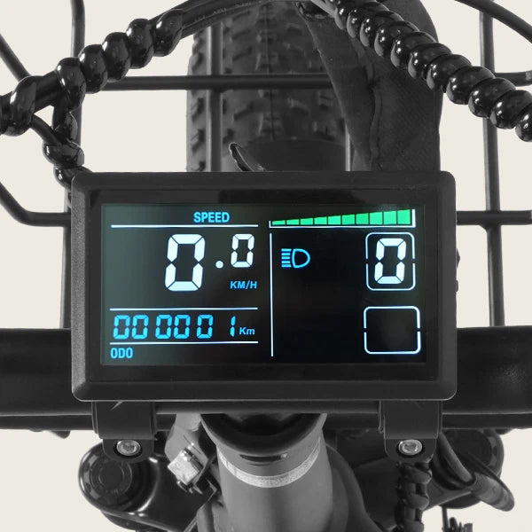 Zentrales LCD-Display am Lenker des Eskute D202 E-Bikes mit Fahrdaten in Echtzeit