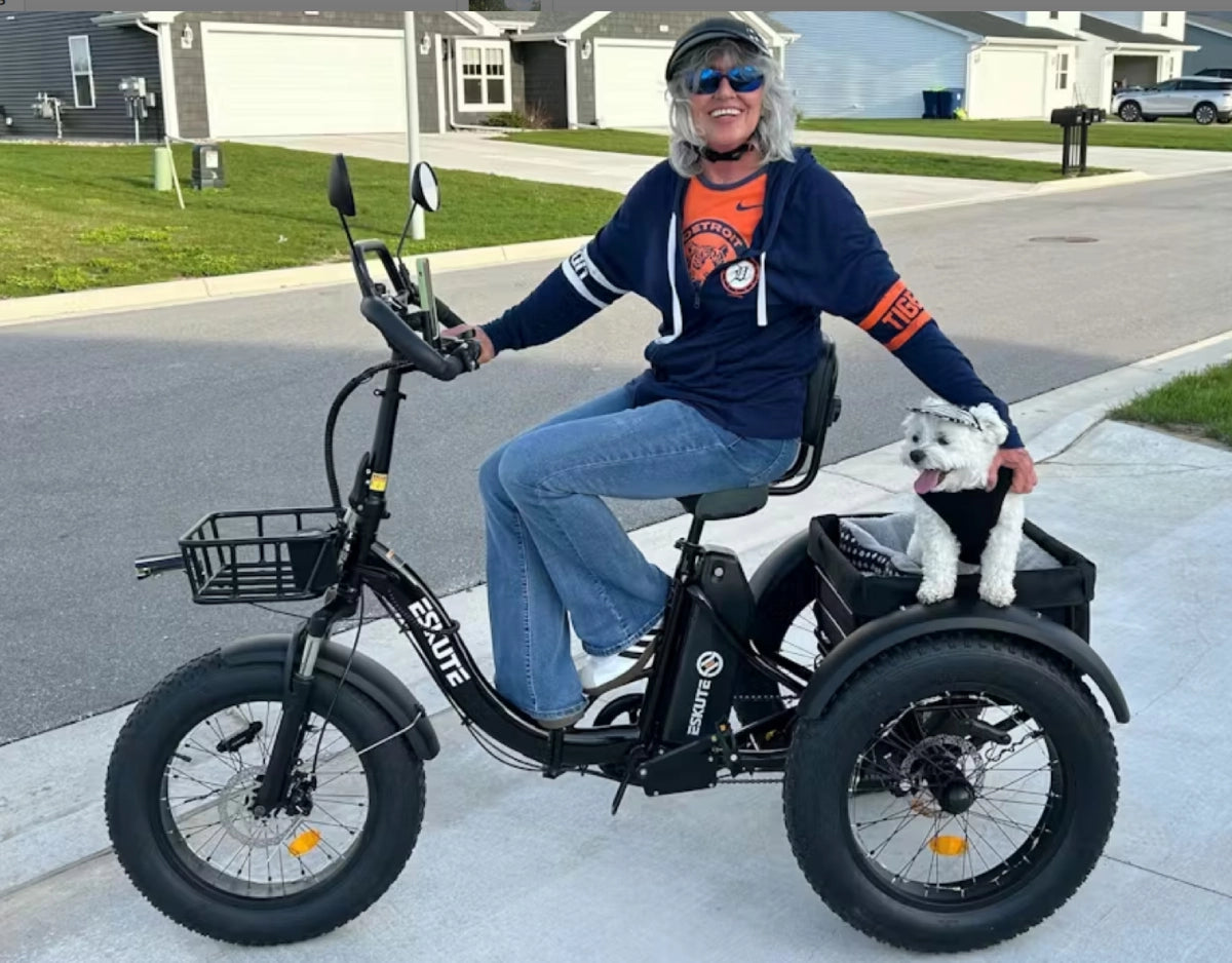 Eskute T302 Pro Cargo E-Trike