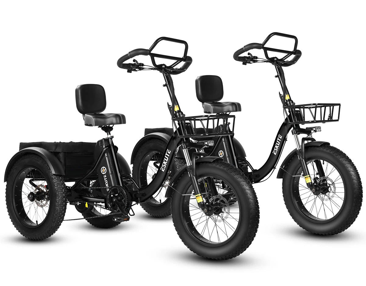 Eskute T302 Pro Cargo E-Bike *2