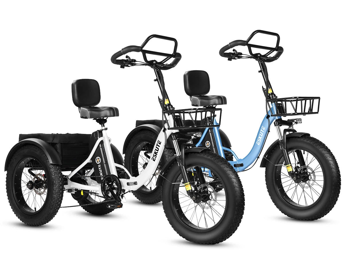 Eskute T302 Pro Cargo E-Bike *2