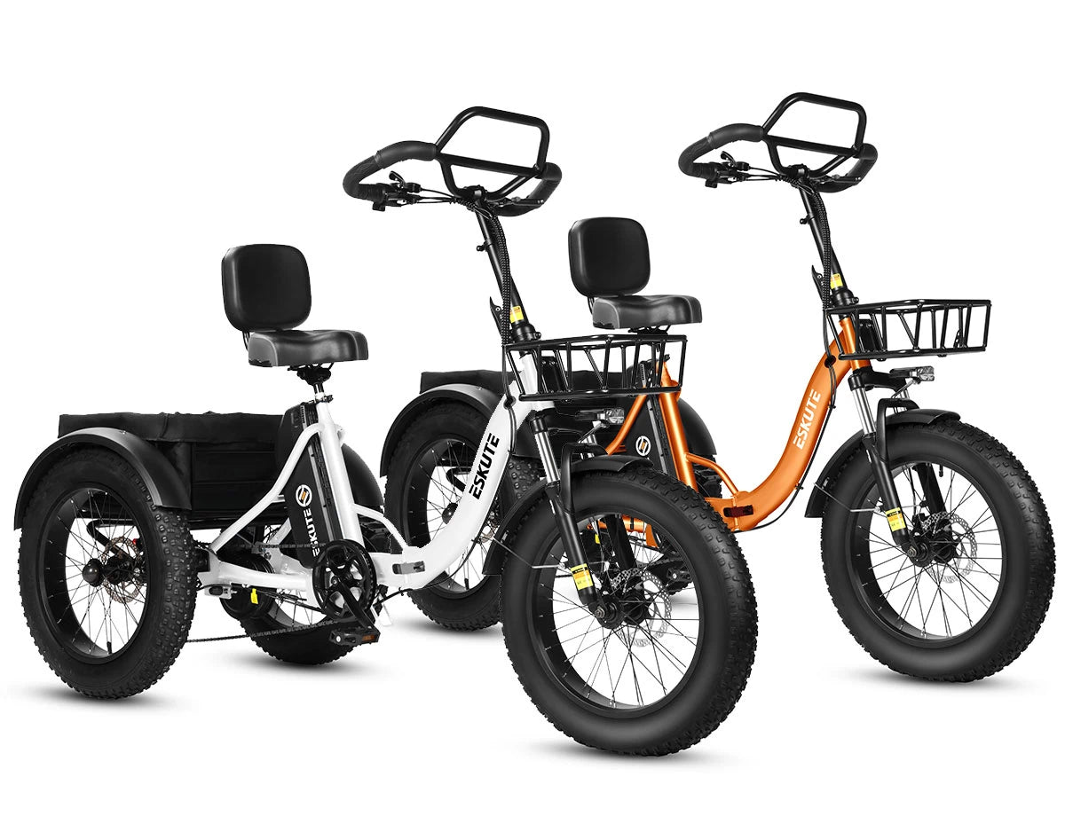 Eskute T302 Pro Cargo E-Bike *2