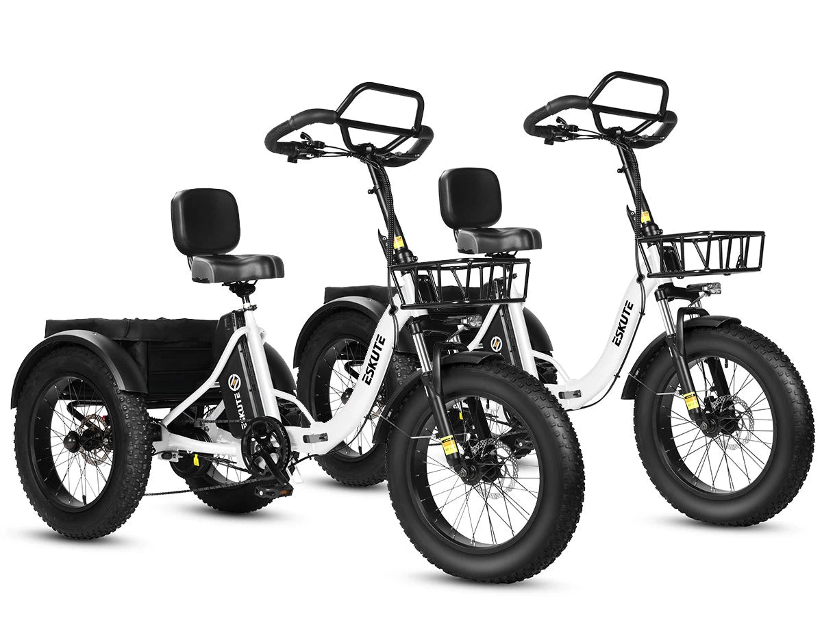 Eskute T302 Pro Cargo E-Bike *2