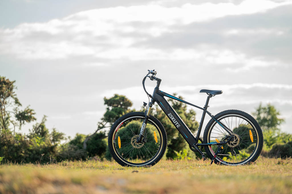 Ein im Gras geparktes Elektrofahrrad