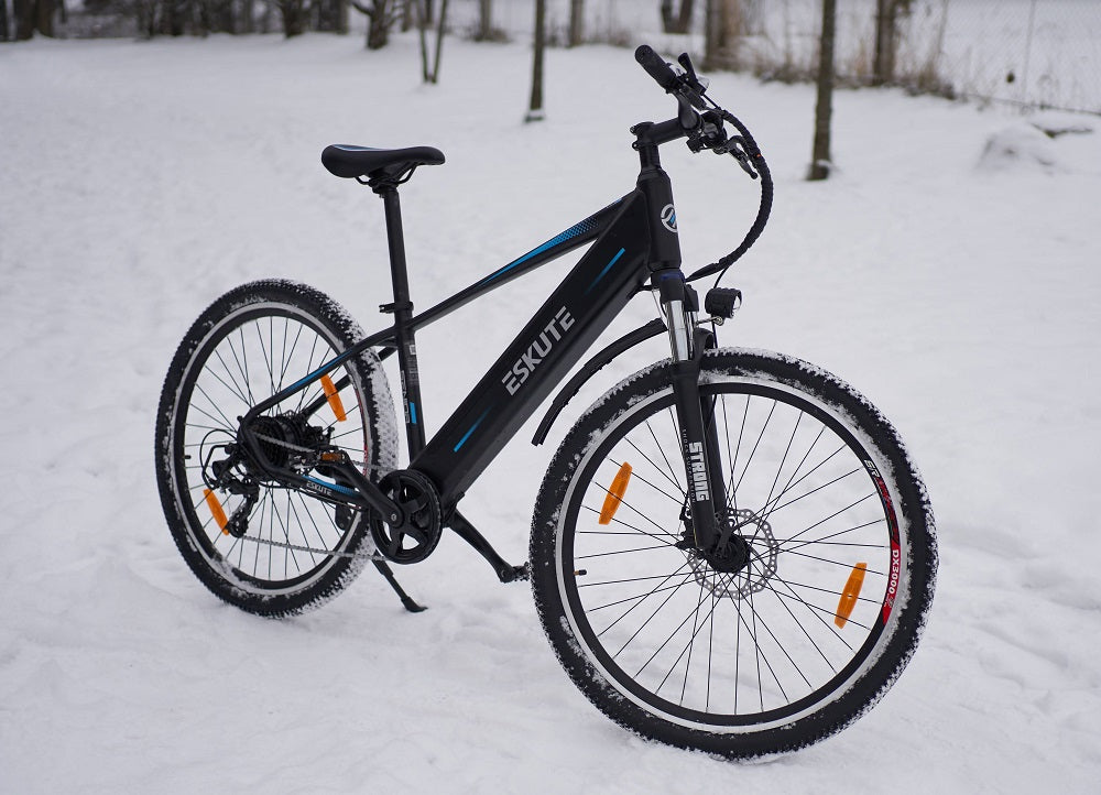 Sind Sie bereit, diesen Winter mit Ihrem E-Bike zu fahren Lesen Sie dies zuerst