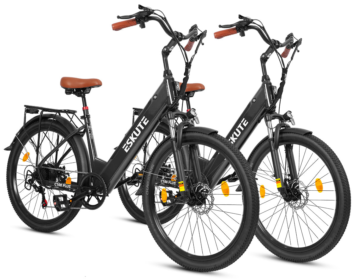 Eskute C100 Puls City E-Bike*2