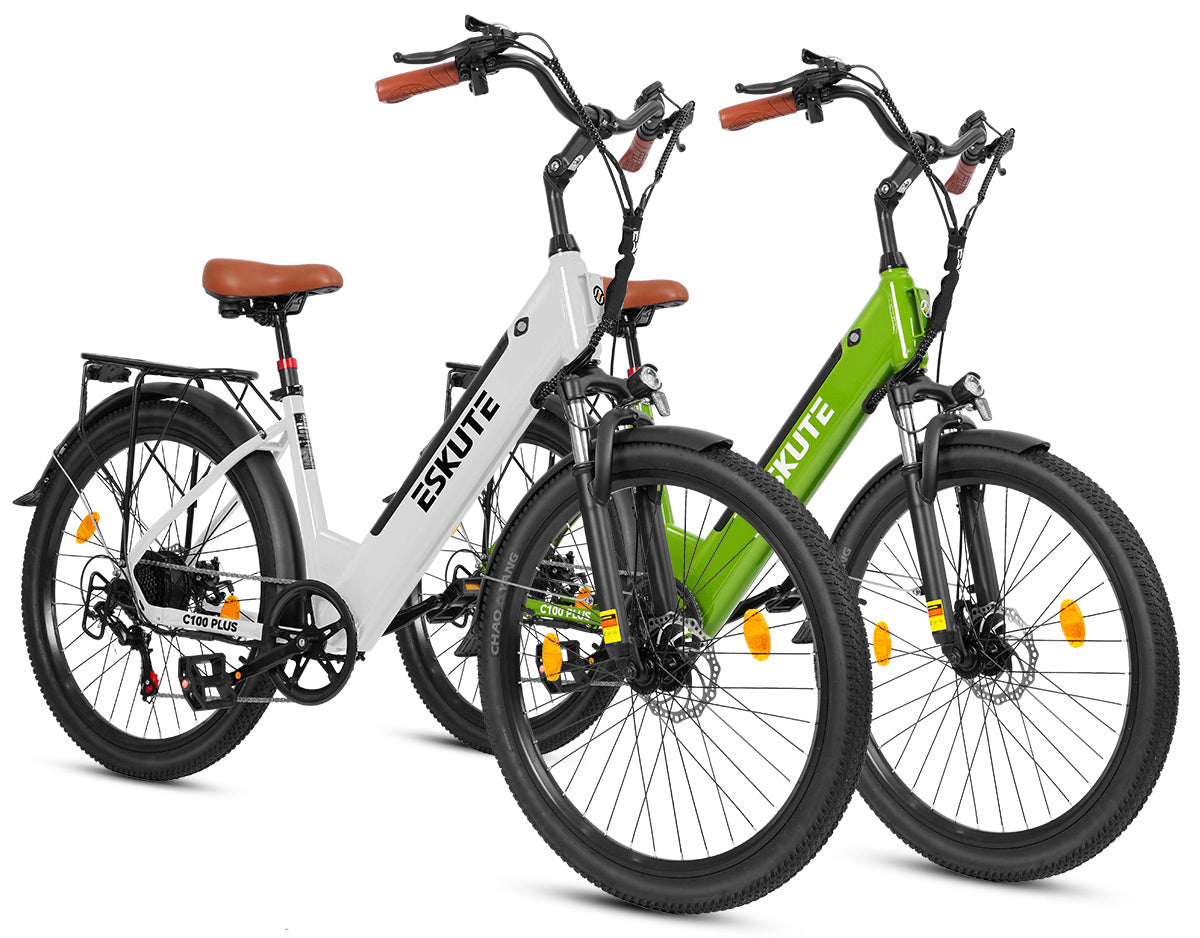 Eskute C100 Puls City E-Bike*2