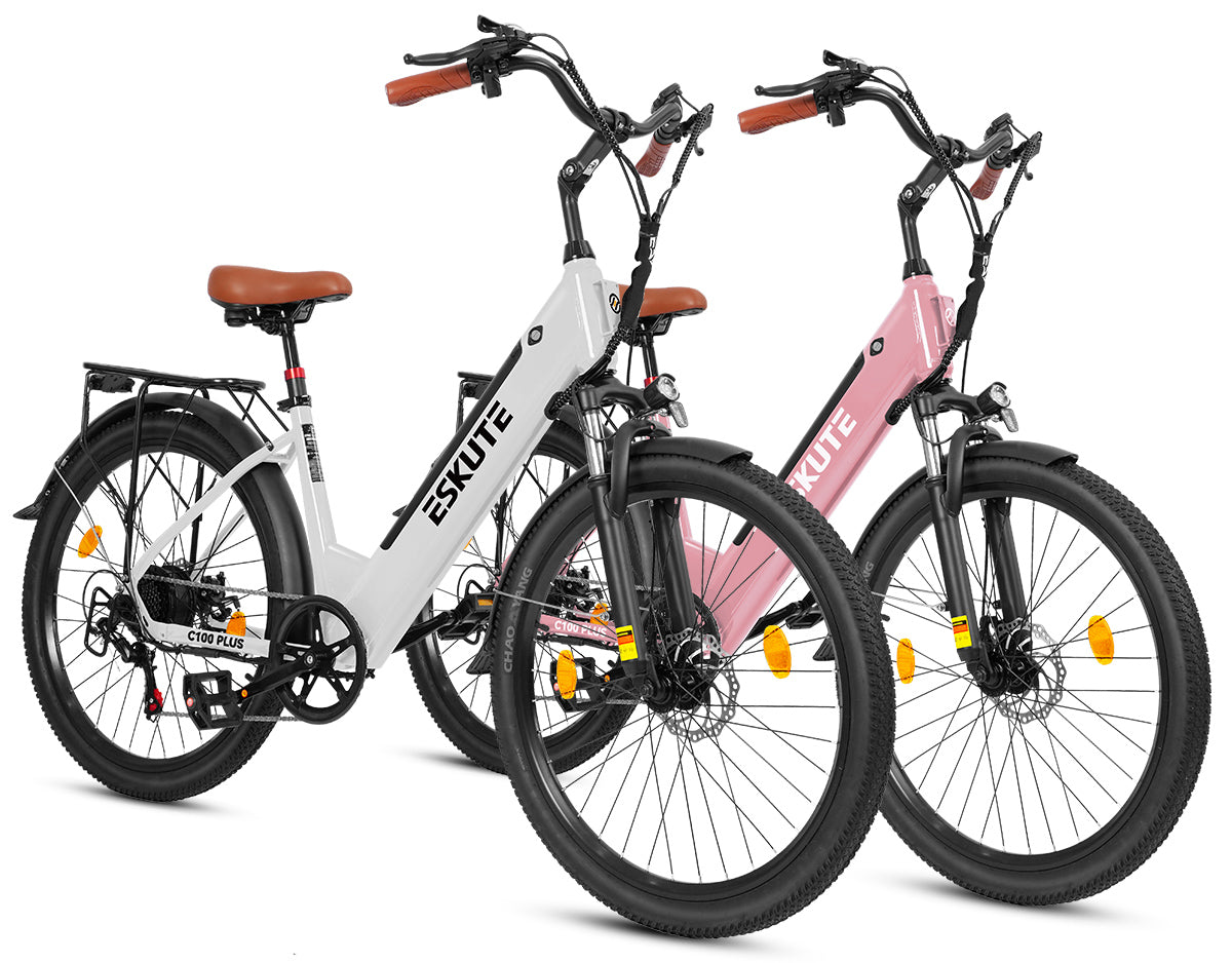 Eskute C100 Puls City E-Bike*2