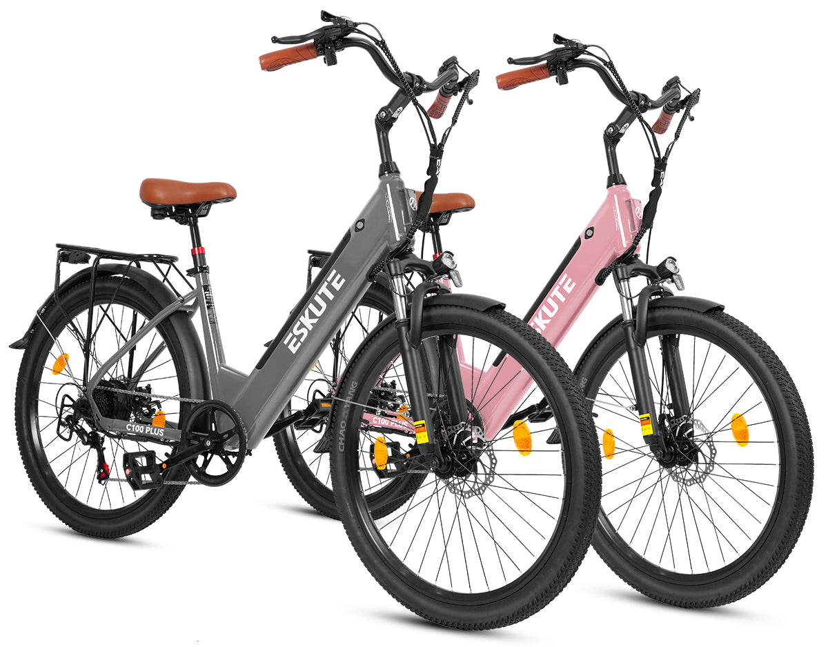 Eskute C100 Puls City E-Bike*2