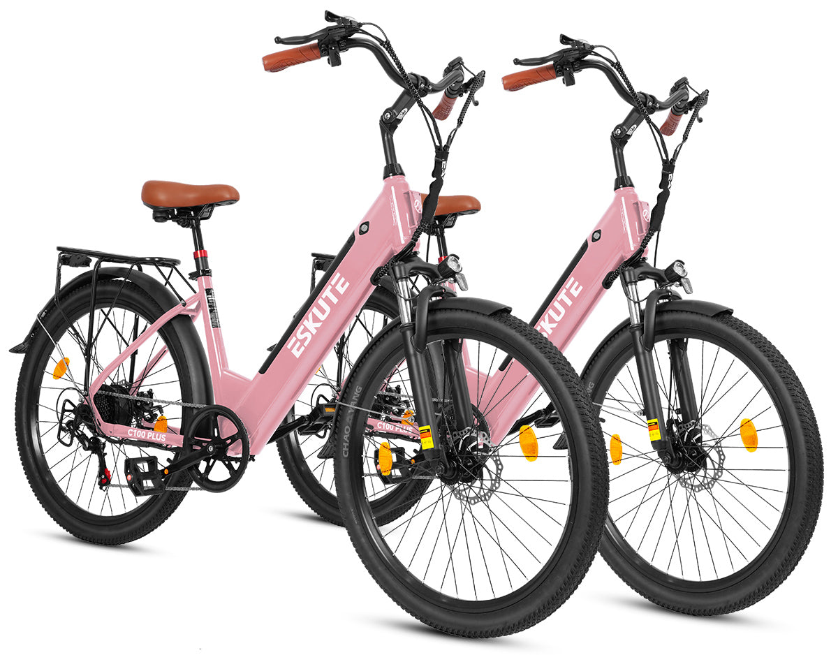 Eskute C100 Puls City E-Bike*2