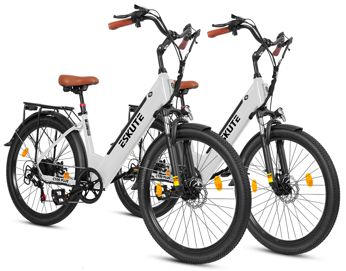 Eskute C100 Puls City E-Bike*2