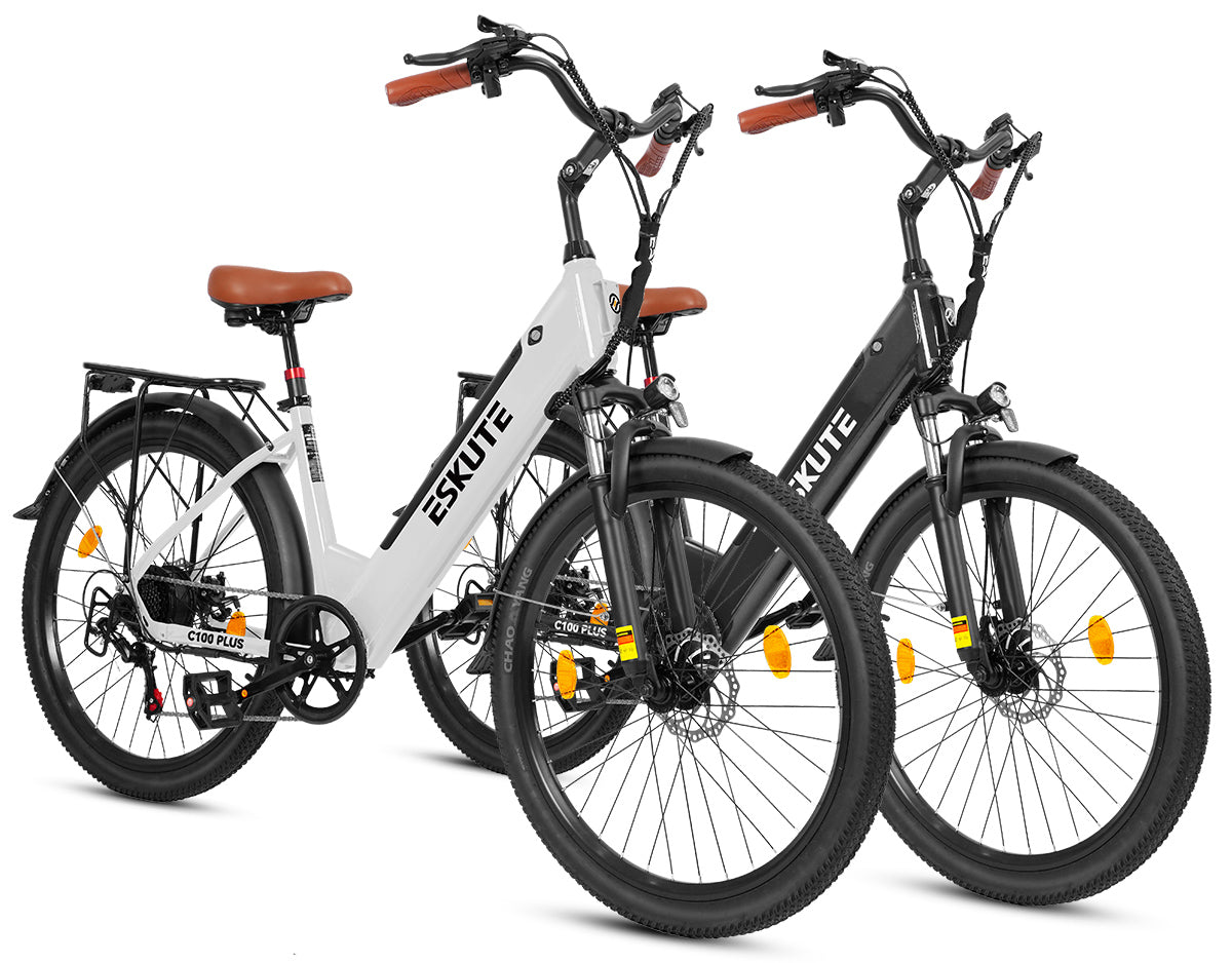 Eskute C100 Puls City E-Bike*2