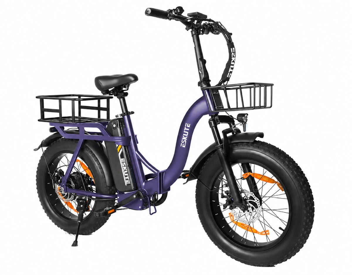 Eskute D202 Folding-E-Bike