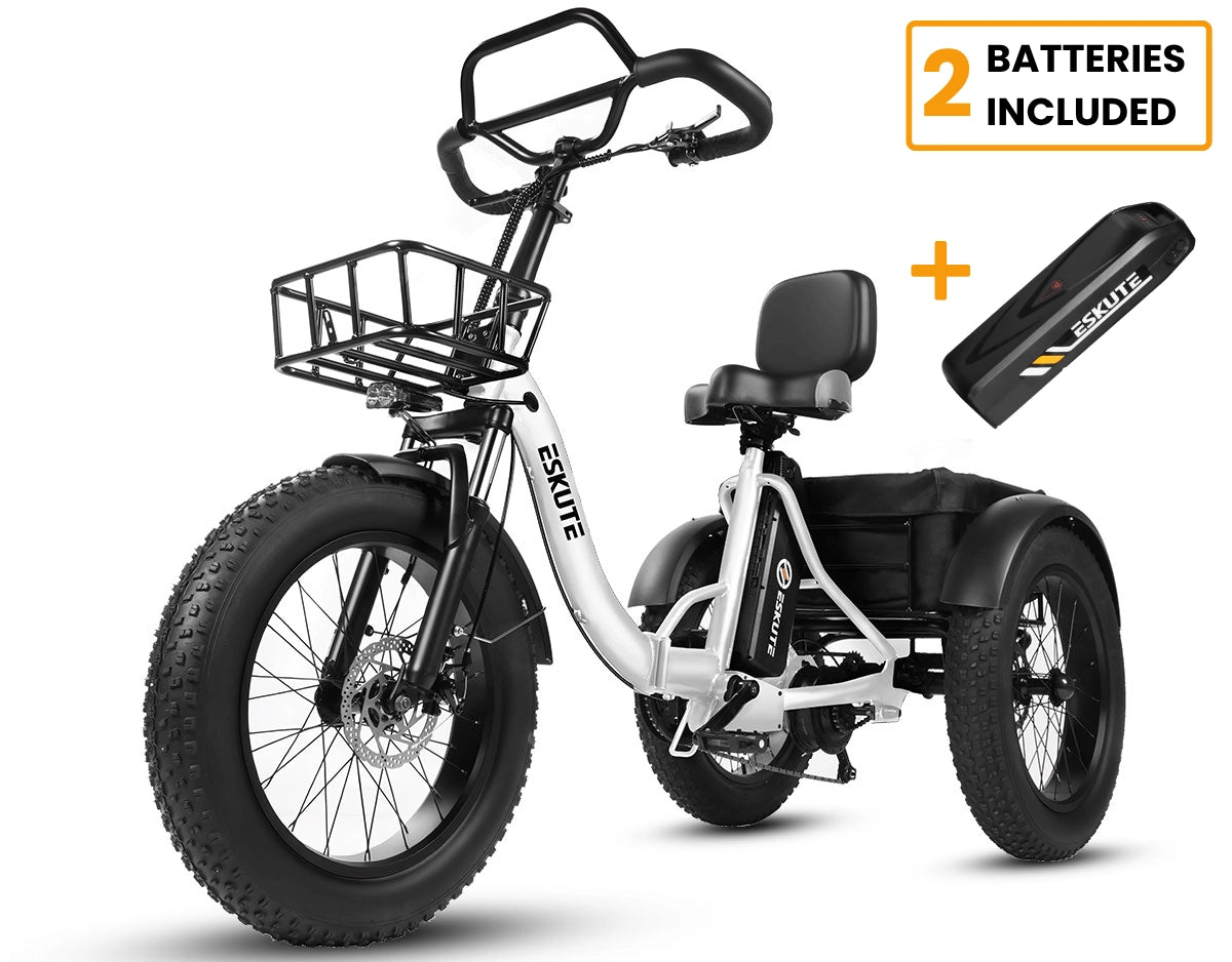 Eskute T302 Pro Cargo E-Trike