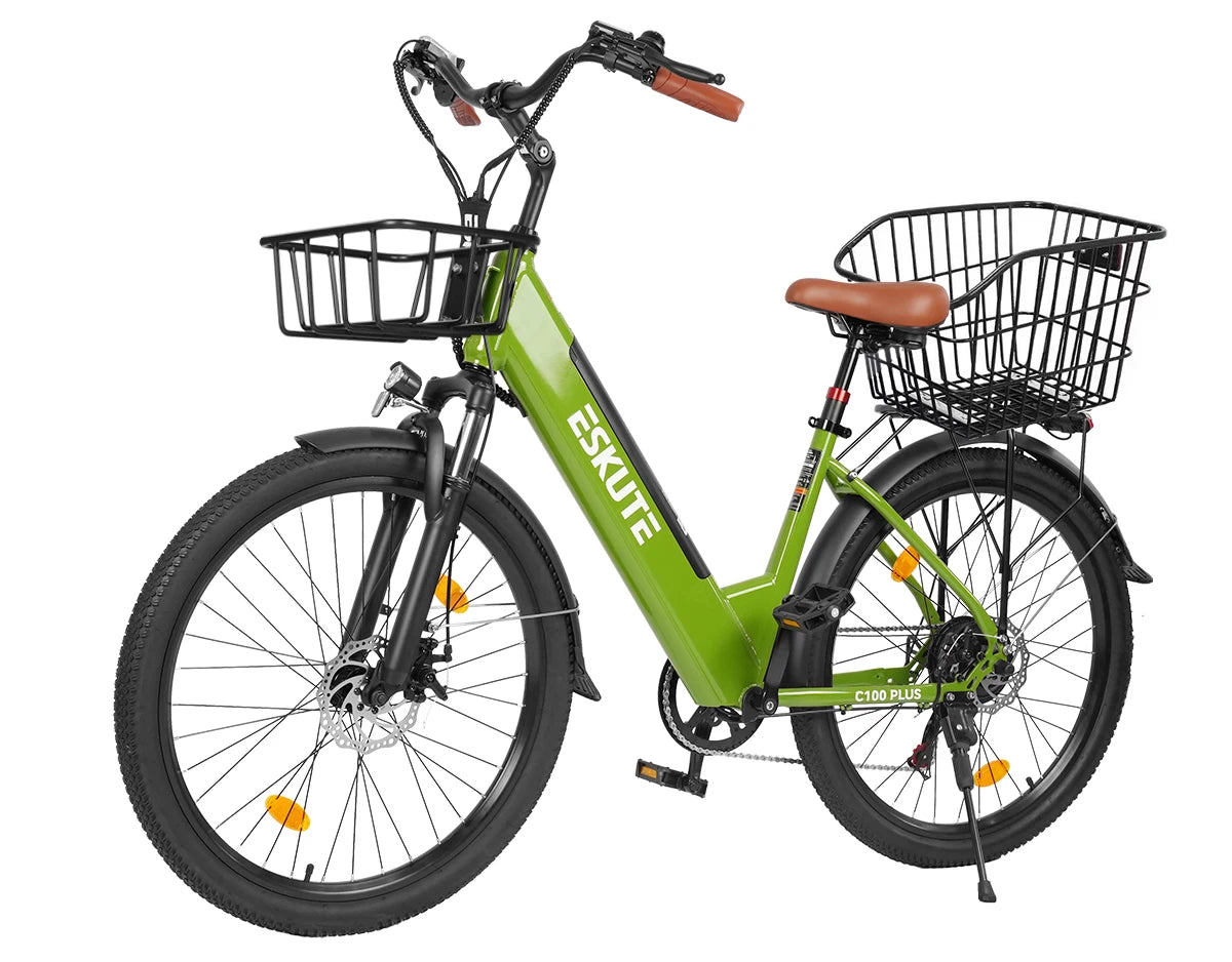 Eskute C100 Plus City E-Bike
