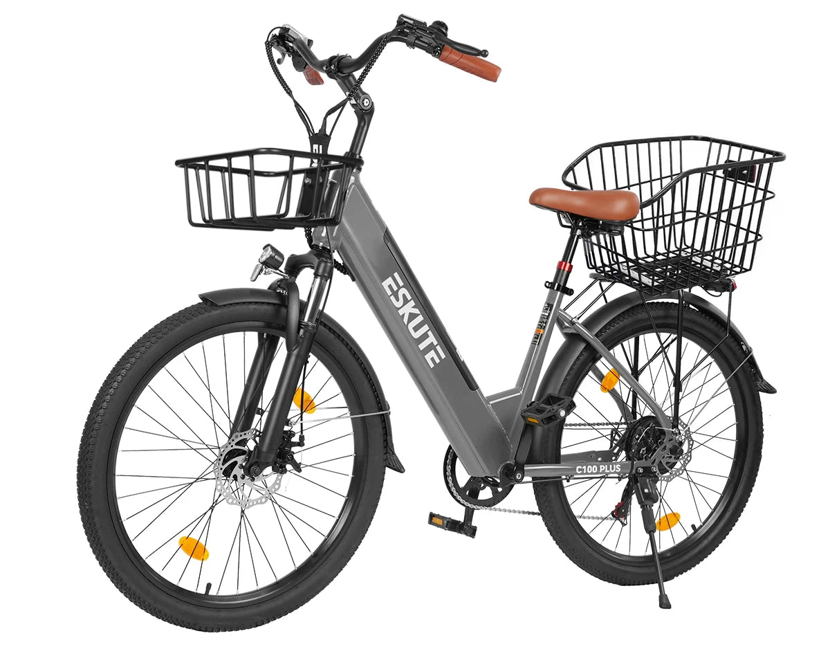 Eskute C100 Plus City E-Bike