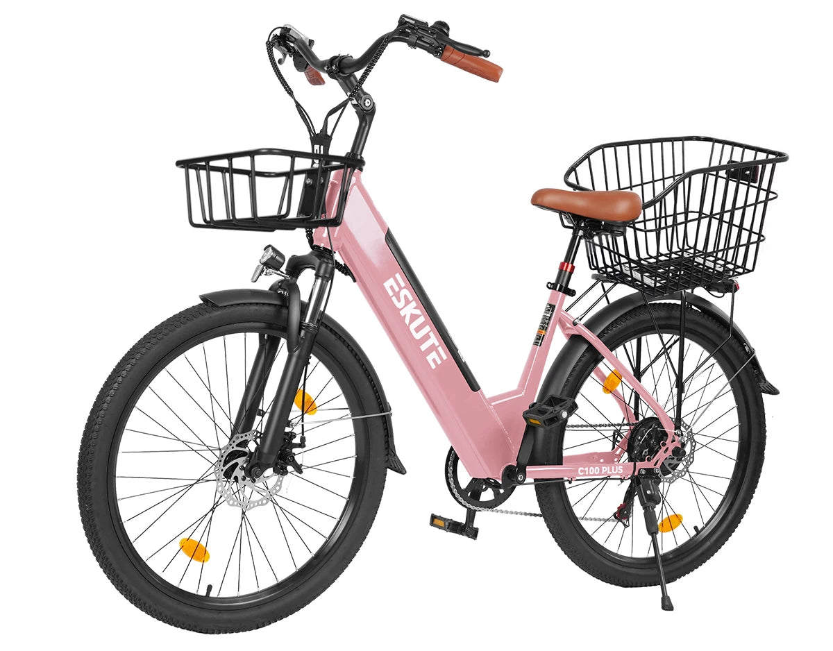 Eskute C100 Plus City E-Bike