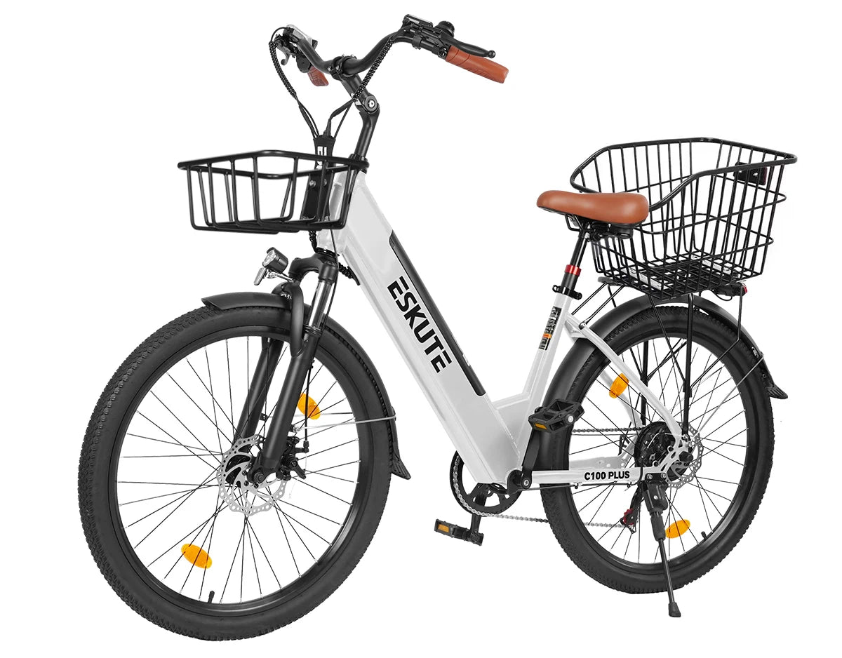 Eskute C100 Plus City E-Bike