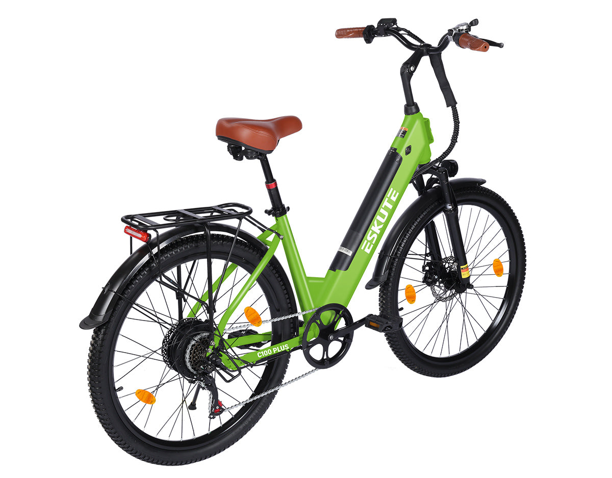 Eskute C100 Plus City E-Bike