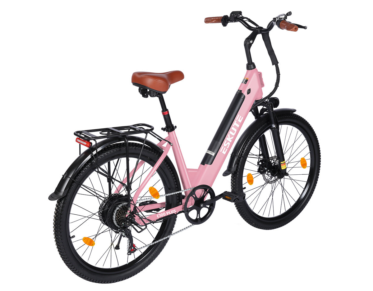 Eskute C100 Plus City E-Bike