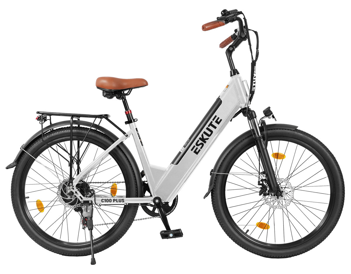 Eskute C100 Plus City E-Bike