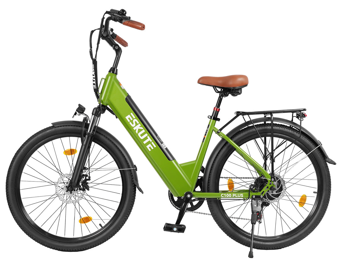 Eskute C100 Plus City E-Bike