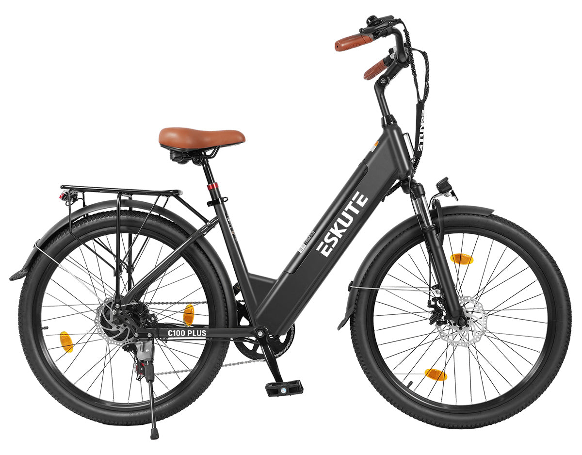 Eskute C100 Plus City E-Bike