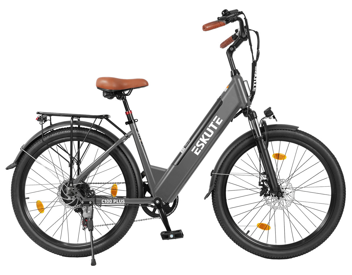 Eskute C100 Plus City E-Bike