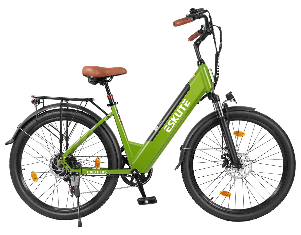 Eskute C100 Plus City E-Bike