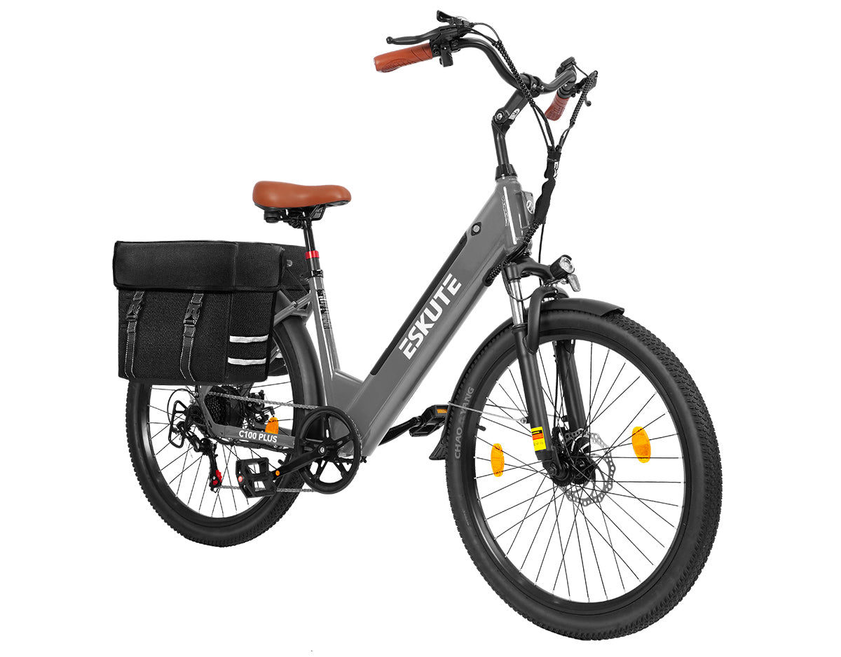 Eskute C100 Plus City E-Bike