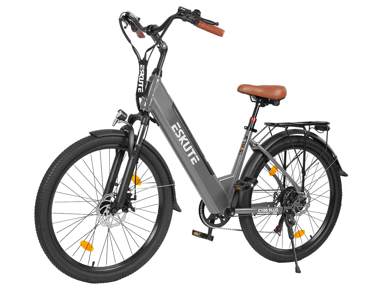 Eskute C100 Plus City E-Bike