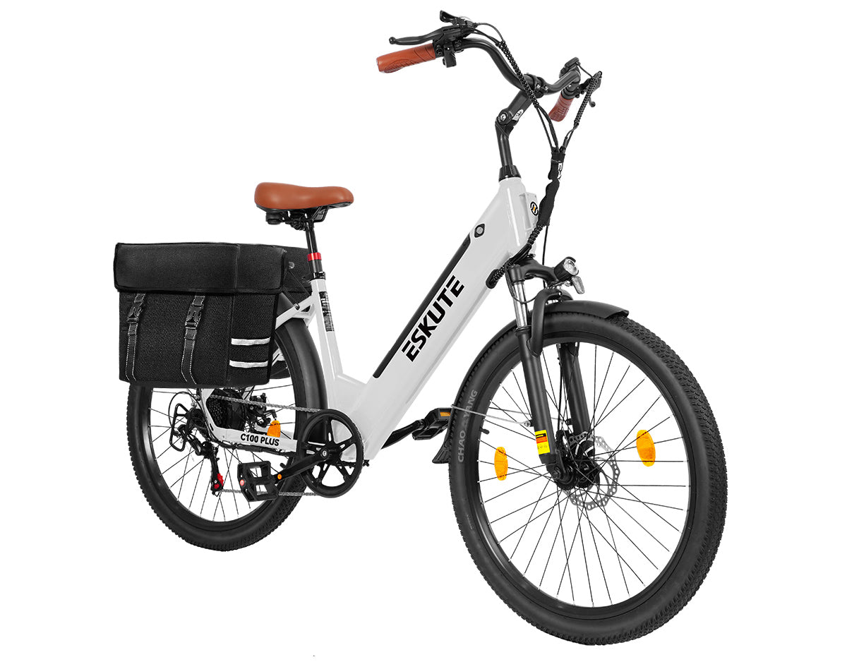 Eskute C100 Plus City E-Bike