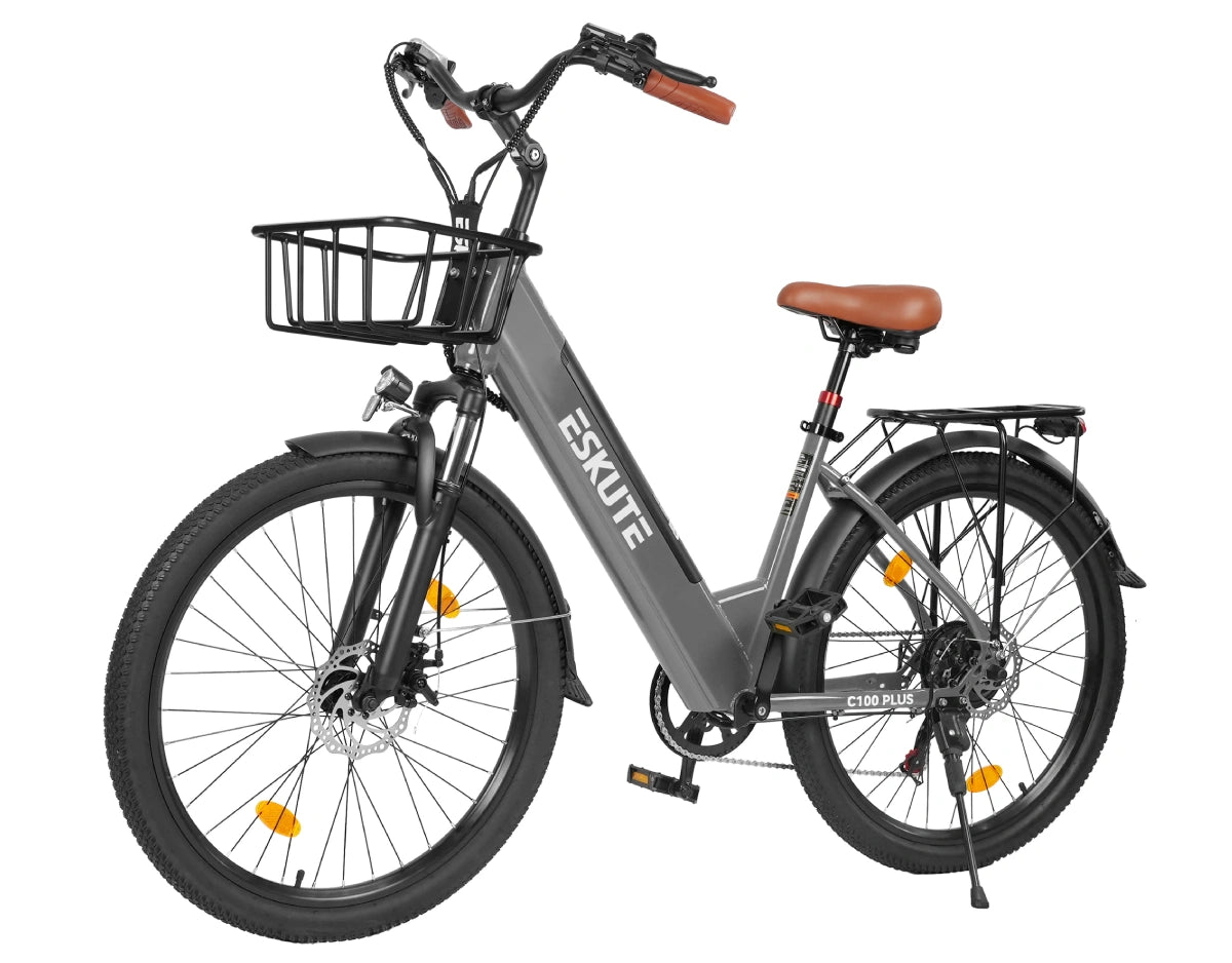 Eskute C100 Plus City E-Bike