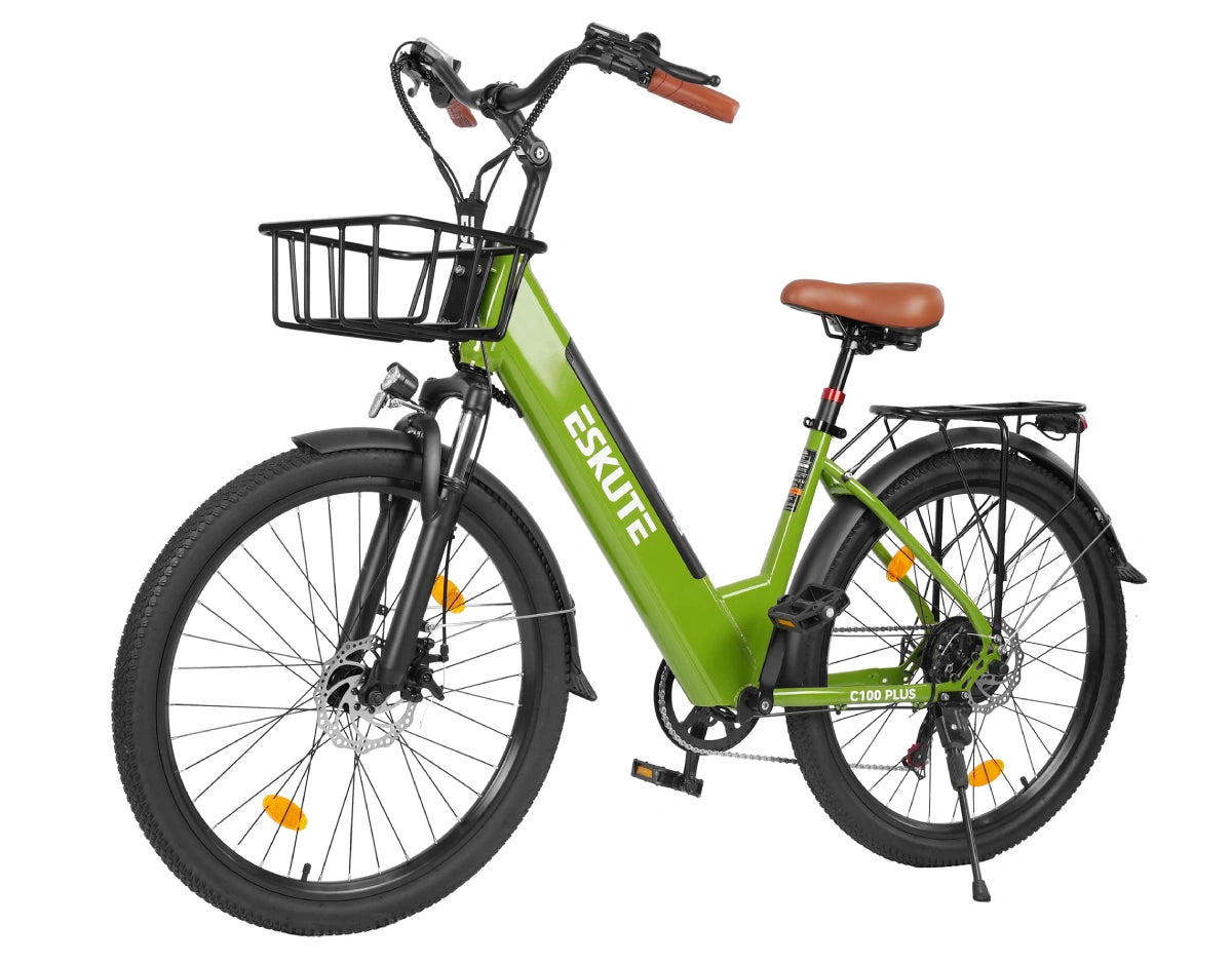 Eskute C100 Plus City E-Bike